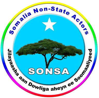 Somali Non-State Actors Association (SONSA)
