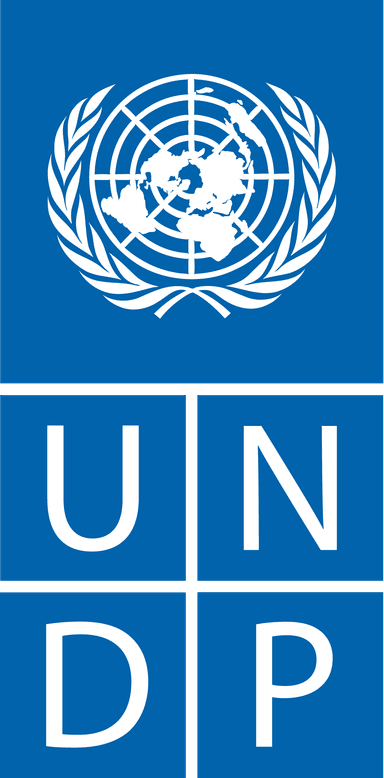 United Nations Development Programme (UNDP)