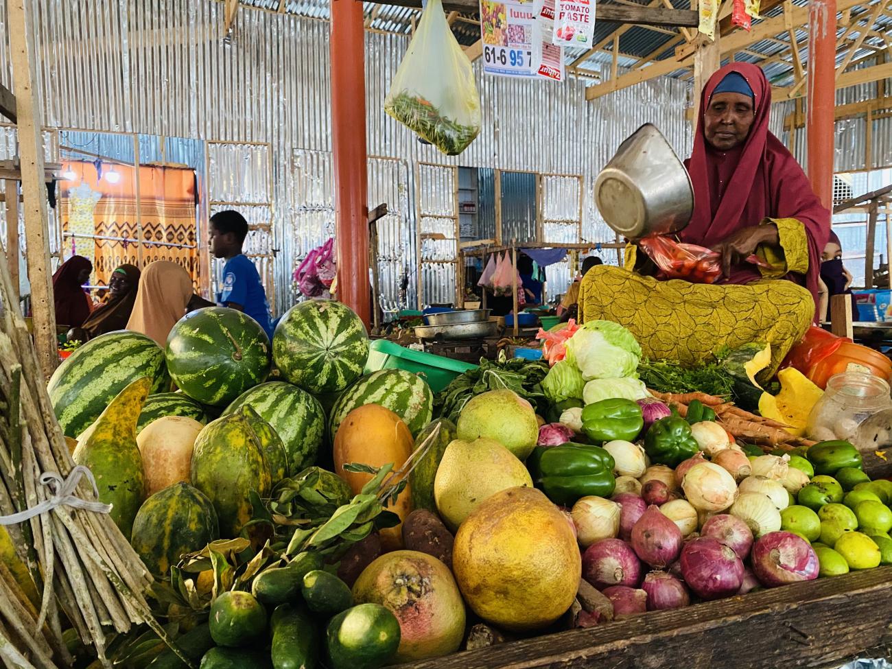 Informal Economy Survey and Analysis